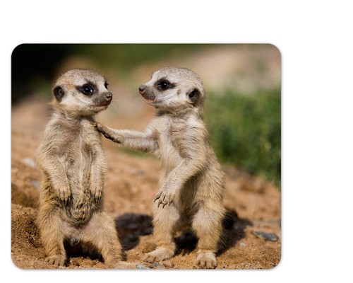 Mauspad mouse pad - mauspad/mouse,